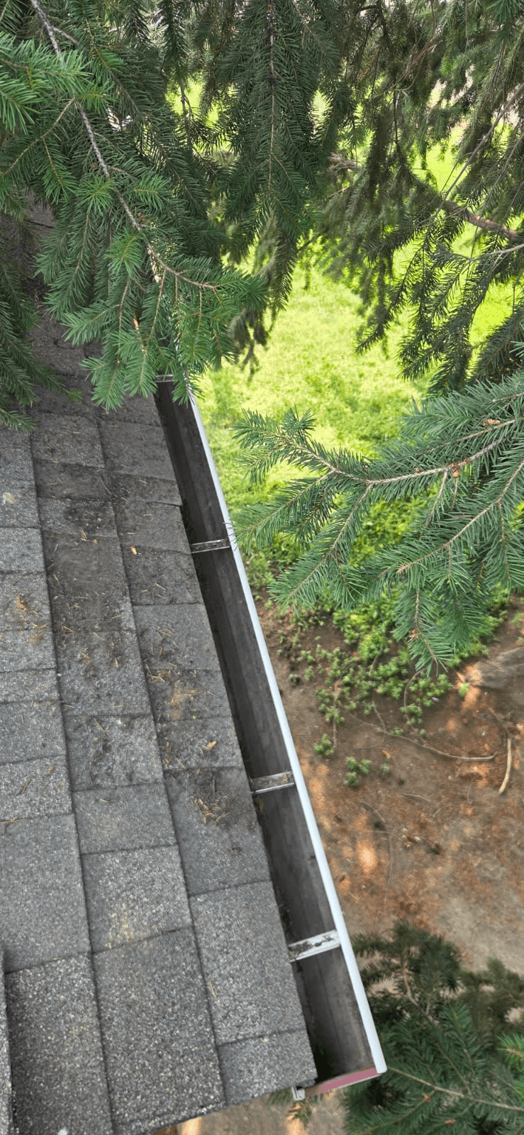 Roof cleaning
